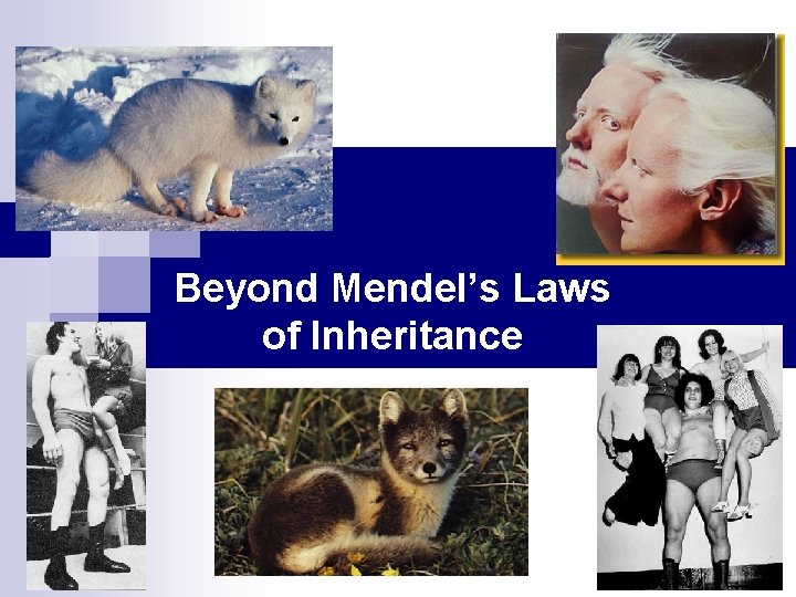 Beyond Mendel’s Laws of Inheritance 