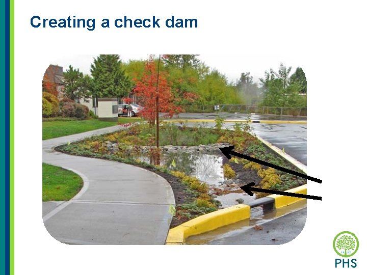 Creating a check dam 