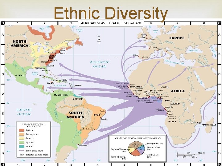 Ethnic Diversity 
