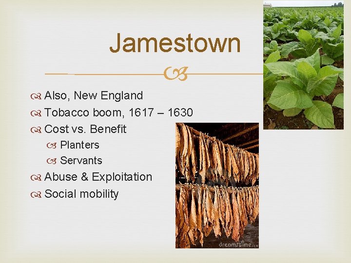 Jamestown Also, New England Tobacco boom, 1617 – 1630 Cost vs. Benefit Planters Servants
