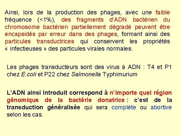 Ainsi, lors de la production des phages, avec une faible fréquence (<1%), des fragments