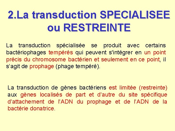 2. La transduction SPECIALISEE ou RESTREINTE La transduction spécialisée se produit avec certains bactériophages