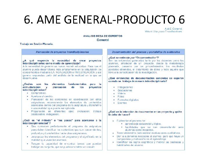 6. AME GENERAL-PRODUCTO 6 