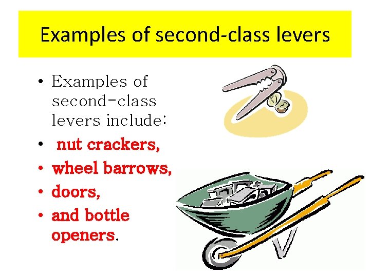 Examples of second-class levers • Examples of second-class levers include: • nut crackers, •