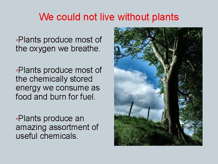 We could not live without plants • Plants produce most of the oxygen we