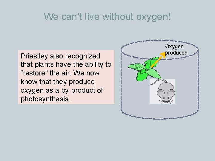 We can’t live without oxygen! Priestley also recognized that plants have the ability to