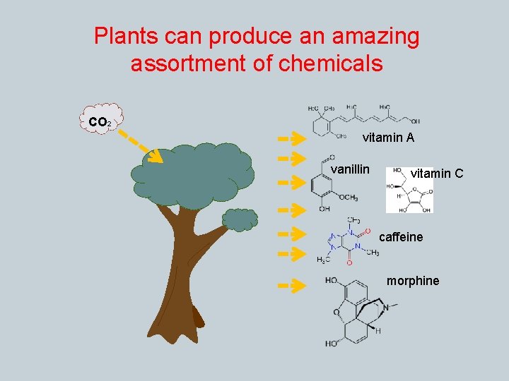 Plants can produce an amazing assortment of chemicals CO 2 vitamin A vanillin vitamin