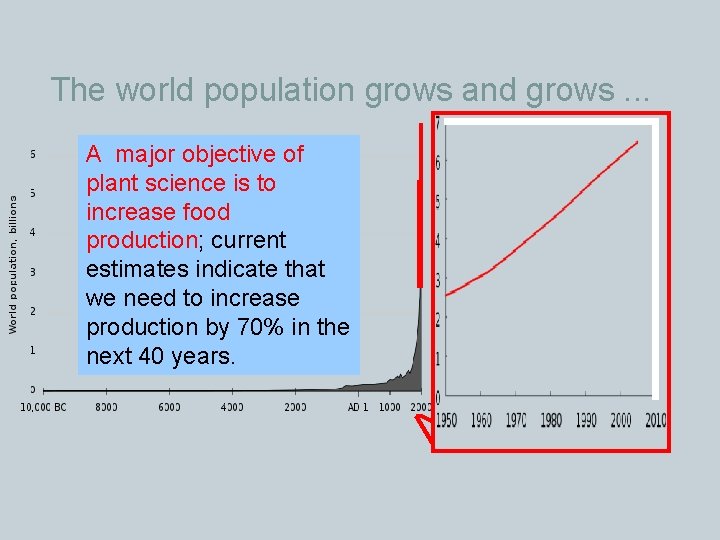 The world population grows and grows. . . A major objective of plant science