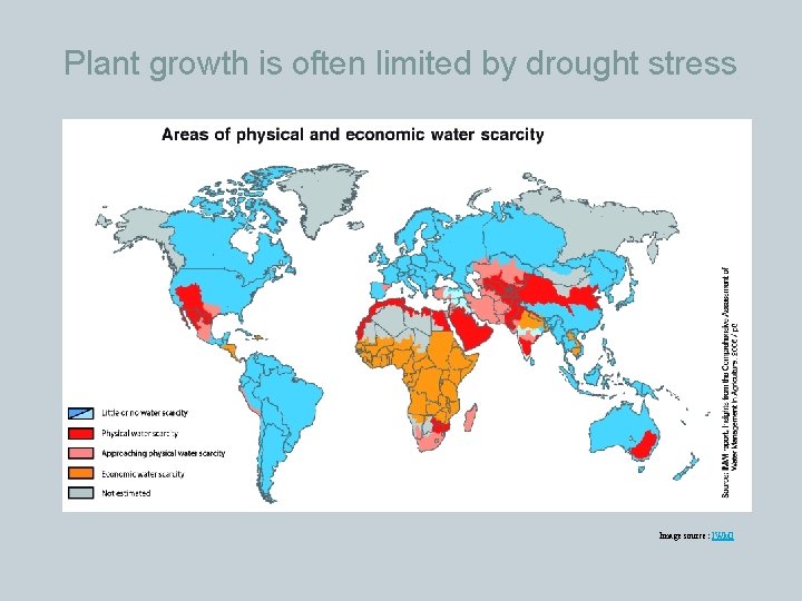 Plant growth is often limited by drought stress Image source: IWMI 