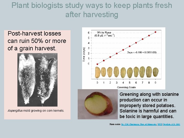 Plant biologists study ways to keep plants fresh after harvesting Post-harvest losses can ruin