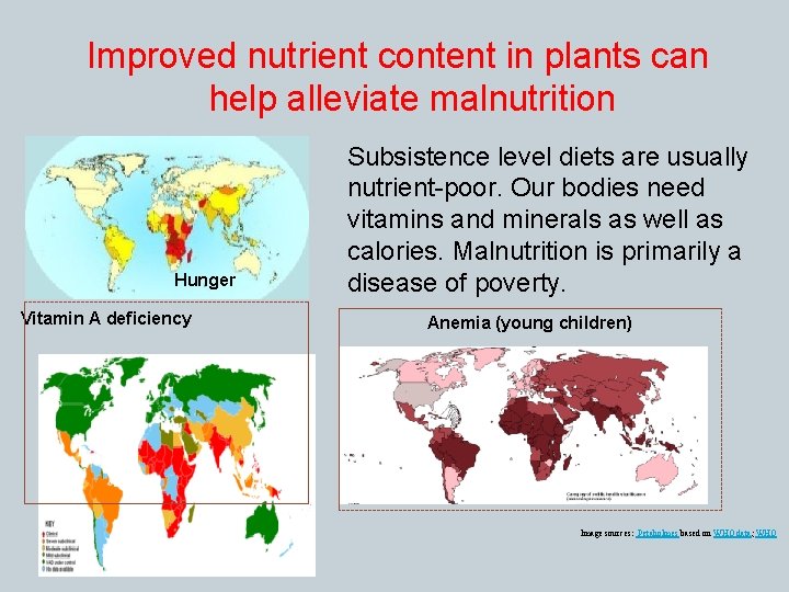 Improved nutrient content in plants can help alleviate malnutrition Hunger Vitamin A deficiency Subsistence