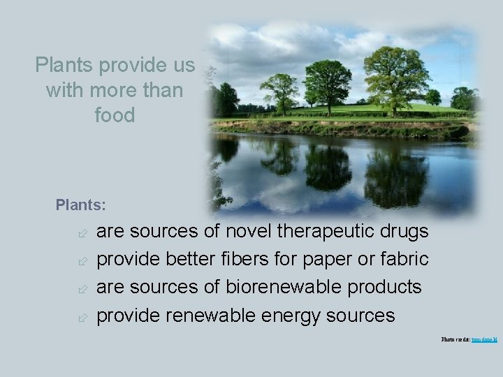 Plants provide us with more than food Plants: are sources of novel therapeutic drugs