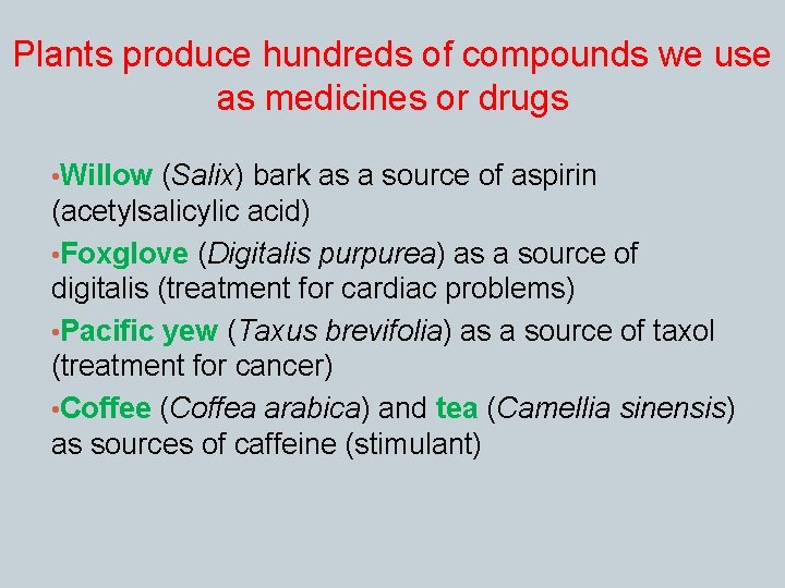 Plants produce hundreds of compounds we use as medicines or drugs • Willow (Salix)