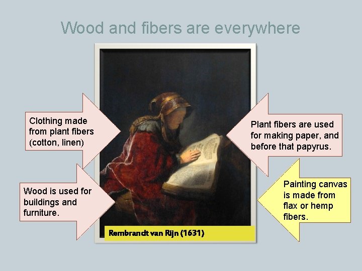 Wood and fibers are everywhere Clothing made from plant fibers (cotton, linen) Plant fibers