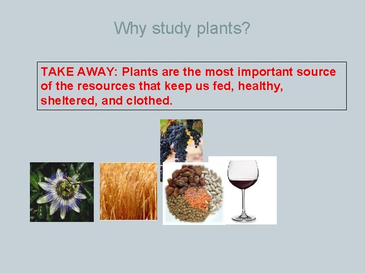 Why study plants? TAKE AWAY: Plants are the most important source of the resources