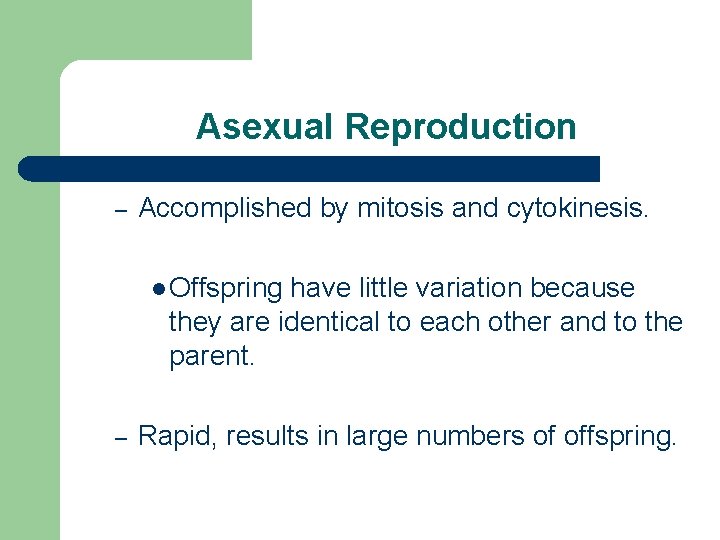 Asexual Reproduction – Accomplished by mitosis and cytokinesis. l Offspring have little variation because