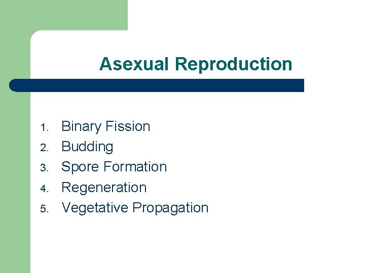 Asexual Reproduction 1. 2. 3. 4. 5. Binary Fission Budding Spore Formation Regeneration Vegetative