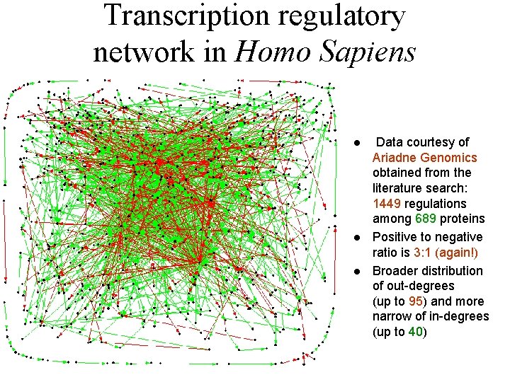 Transcription regulatory network in Homo Sapiens l l l Data courtesy of Ariadne Genomics