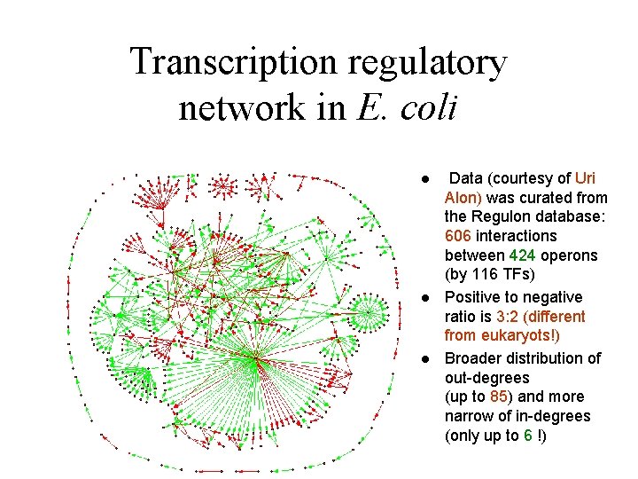 Transcription regulatory network in E. coli l l l Data (courtesy of Uri Alon)