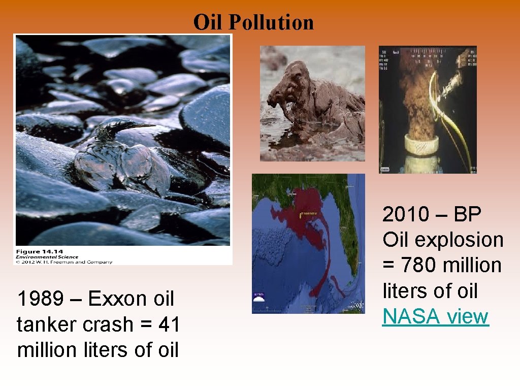 Oil Pollution 1989 – Exxon oil tanker crash = 41 million liters of oil