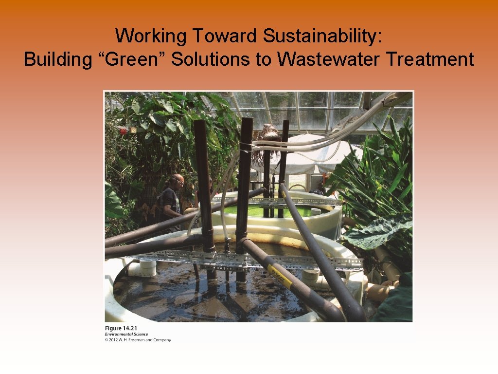 Working Toward Sustainability: Building “Green” Solutions to Wastewater Treatment 