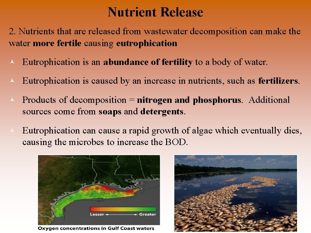 Nutrient Release 2. Nutrients that are released from wastewater decomposition can make the water