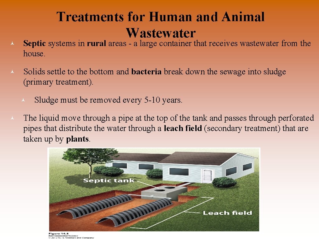 Treatments for Human and Animal Wastewater © Septic systems in rural areas - a