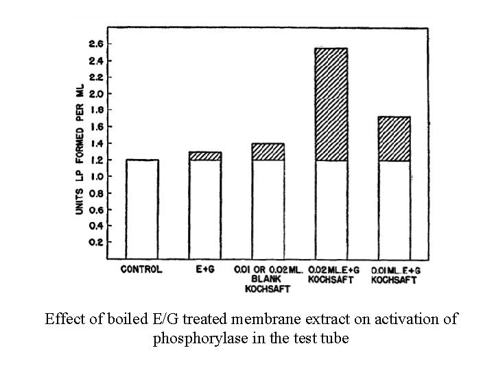 Effect of boiled E/G treated membrane extract on activation of phosphorylase in the test Effect of boiled E/G treated membrane extract on activation of phosphorylase in the test
