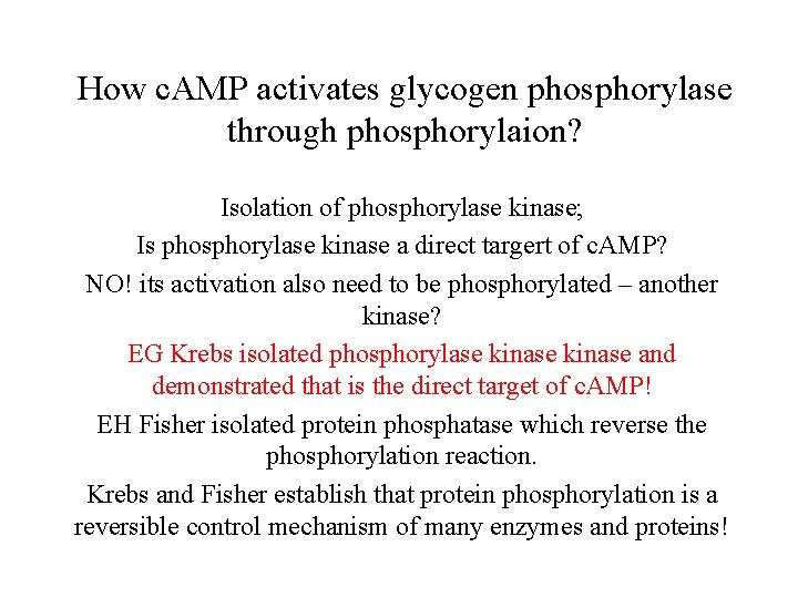 How c. AMP activates glycogen phosphorylase through phosphorylaion? Isolation of phosphorylase kinase; Is phosphorylase How c. AMP activates glycogen phosphorylase through phosphorylaion? Isolation of phosphorylase kinase; Is phosphorylase