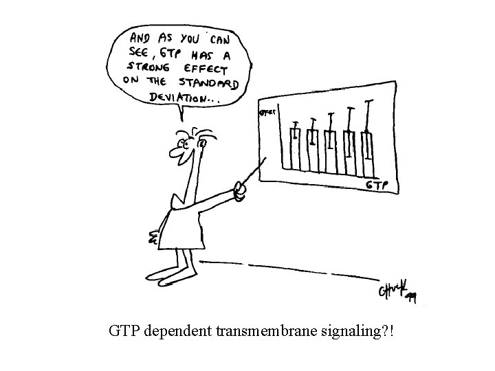 GTP dependent transmembrane signaling? ! GTP dependent transmembrane signaling? !