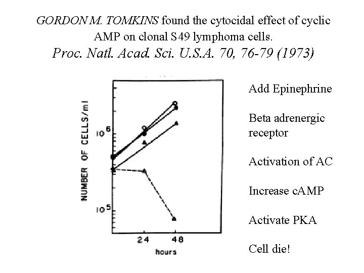 GORDON M. TOMKINS found the cytocidal effect of cyclic AMP on clonal S 49 GORDON M. TOMKINS found the cytocidal effect of cyclic AMP on clonal S 49