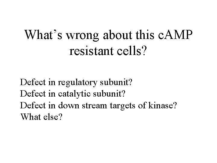 What’s wrong about this c. AMP resistant cells? Defect in regulatory subunit? Defect in What’s wrong about this c. AMP resistant cells? Defect in regulatory subunit? Defect in