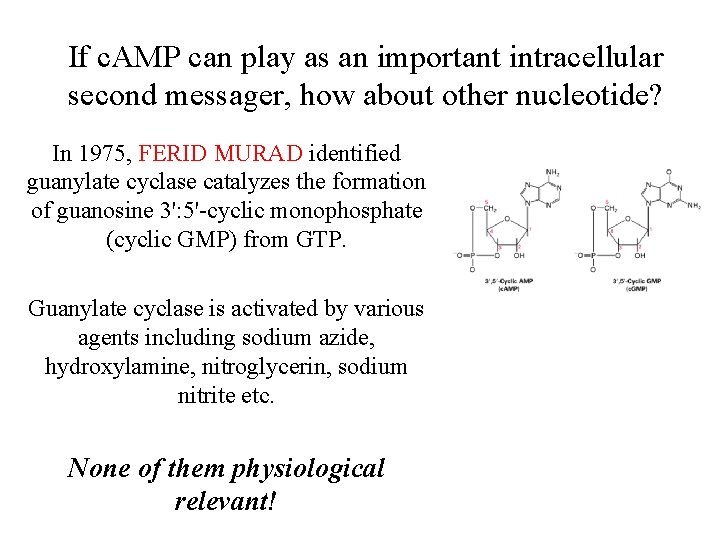 If c. AMP can play as an important intracellular second messager, how about other If c. AMP can play as an important intracellular second messager, how about other