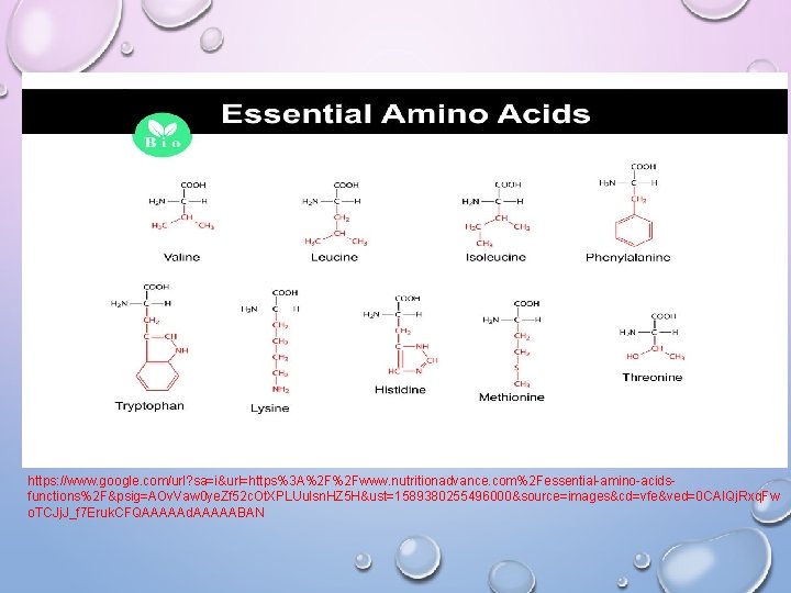 https: //www. google. com/url? sa=i&url=https%3 A%2 F%2 Fwww. nutritionadvance. com%2 Fessential-amino-acidsfunctions%2 F&psig=AOv. Vaw 0