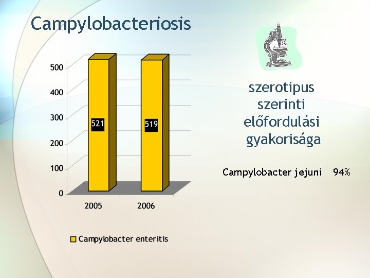 Campylobacteriosis szerotipus szerinti előfordulási gyakorisága Campylobacter jejuni 94% 