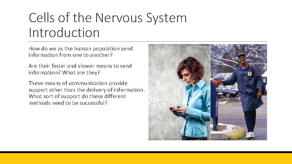 Cells of the Nervous System Introduction How do