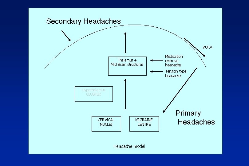 Secondary Headaches AURA Thalamus + Mid Brain structures Medication overuse headache Tension type headache