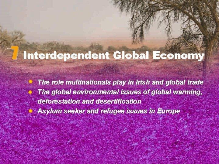 7 Interdependent Global Economy The role multinationals play in Irish and global trade The