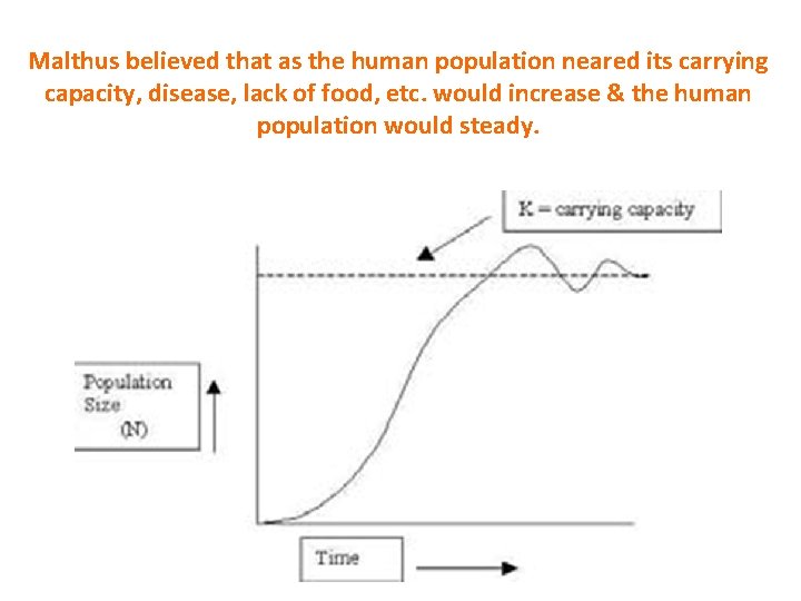 Malthus believed that as the human population neared its carrying capacity, disease, lack of
