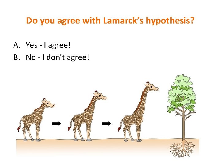 Do you agree with Lamarck’s hypothesis? A. Yes - I agree! B. No -