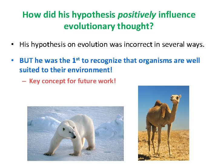 How did his hypothesis positively influence evolutionary thought? • His hypothesis on evolution was