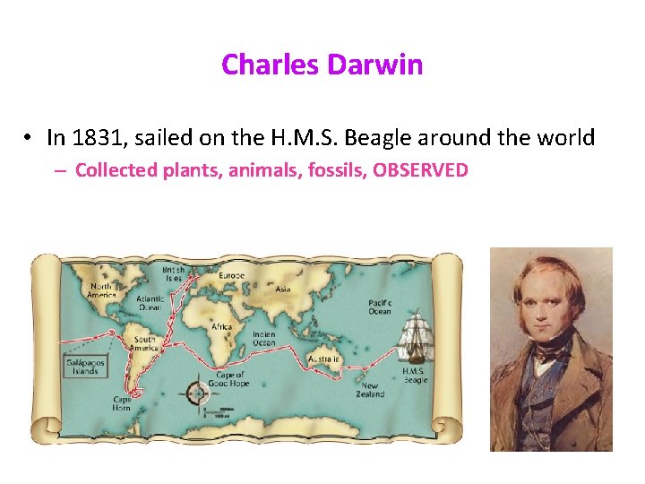 Charles Darwin • In 1831, sailed on the H. M. S. Beagle around the