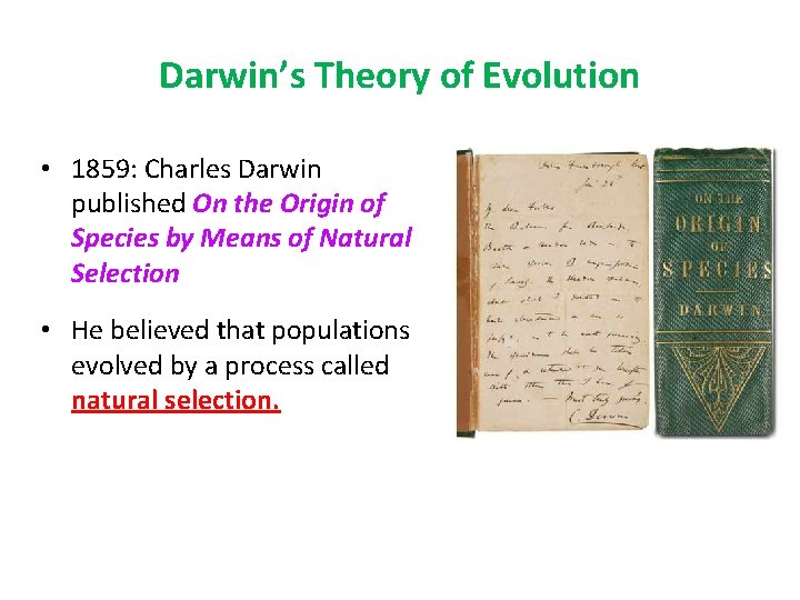 Darwin’s Theory of Evolution • 1859: Charles Darwin published On the Origin of Species