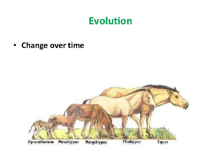 Evolution • Change over time 