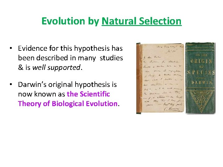 Evolution by Natural Selection • Evidence for this hypothesis has been described in many