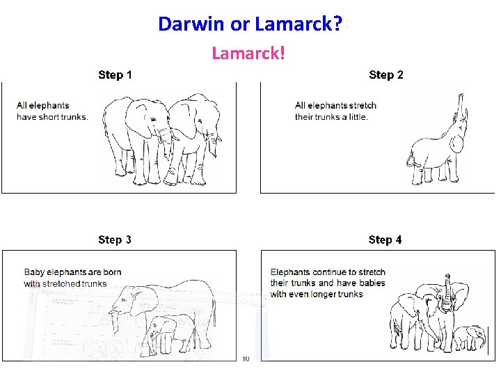 Darwin or Lamarck? Lamarck! 