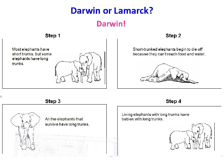 Darwin or Lamarck? Darwin! 