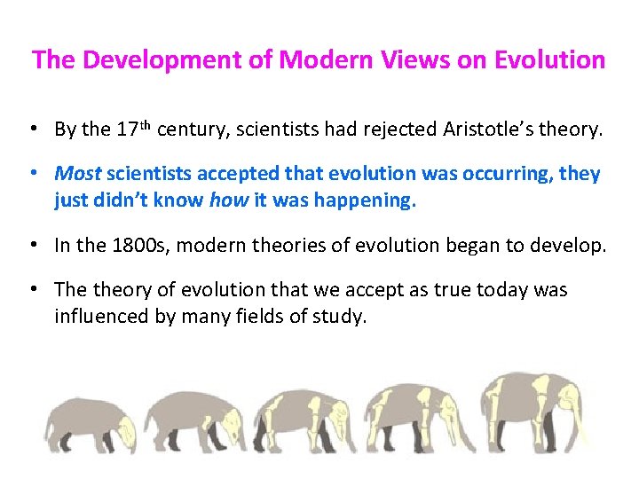 The Development of Modern Views on Evolution • By the 17 th century, scientists
