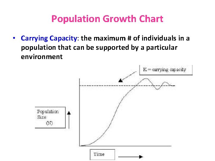 Population Growth Chart • Carrying Capacity: the maximum # of individuals in a population
