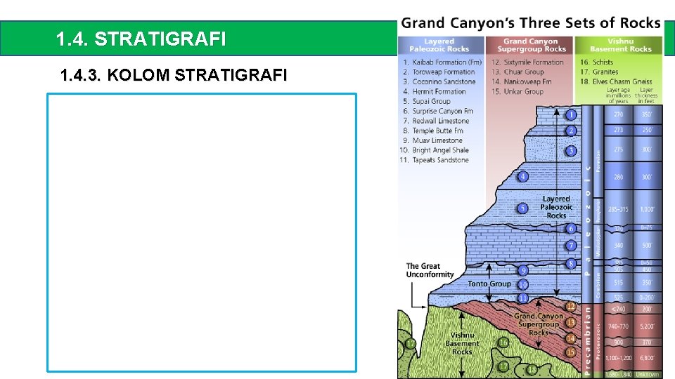 1. 4. STRATIGRAFI 1. 4. 3. KOLOM STRATIGRAFI 